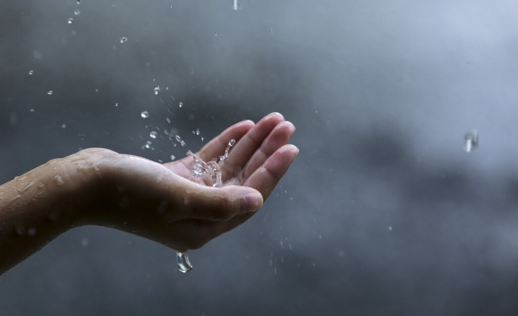 梅雨時期の“ゆらぎ肌”には整え美容！