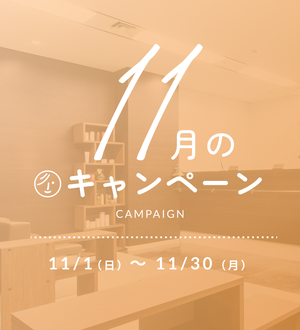 2026年11月キャンペーン